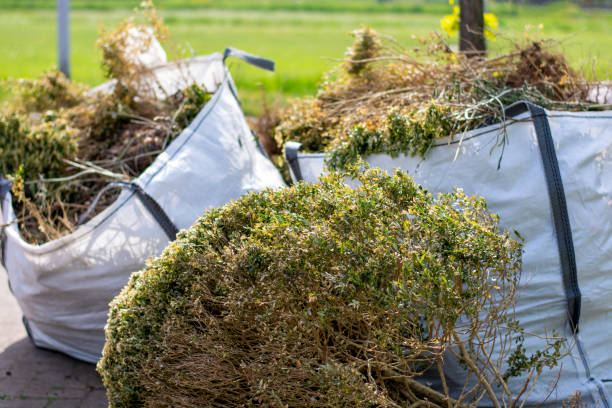 Shed Removal in Eagleton Village, TN